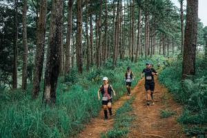 BIB: 
                            <button type="button" onclick="openModal(25662503)" class="btn btn-primary btn-sm float-right btn-popup" data-toggle="modal" data-target=".modal-high-quality">
                        <i class="fas fa-shopping-cart"></i> Add to Cart
                    </button>
                                            <button type="button" onclick="isThisMe(25662503, true)" class="btn btn-success btn-sm float-right btn-popup btn-isme hidden" data-toggle="tooltip" data-placement="bottom" title="นี่คือรูปของคุณใช่ไหม คลิกที่นี่เพื่อเอาเข้าอัลบั้ม">
                        <i class="fas fa-plus"></i> Add to album
                    </button>
                    <button type="button" onclick="isThisMe(25662503, false)" class="btn btn-warning btn-sm float-right btn-popup btn-isnotme hidden">
                        <i class="fas fa-ban"></i> Remove from album
                    </button>